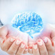 Cabeça/Neurologico Cabeça/Neurologico